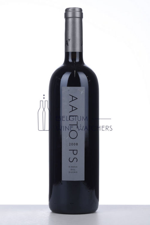 Picture of 2008 AALTO PS